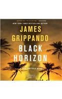 Black Horizon: (11 Jack Swyteck Novel)