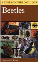 Field Guide to the Beetles