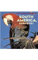 South America, Surprise!