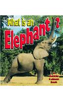 What Is an Elephant?