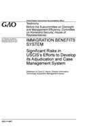 Immigration Benefits System