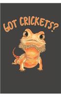 Got Crickets?
