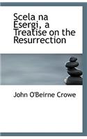 Scela Na Esergi, a Treatise on the Resurrection