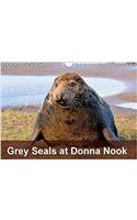 Grey Seals at Donna Nook 2017: Breeding Colony of Grey Seals(Calvendo Animals)