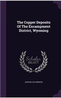 Copper Deposits Of The Encampment District, Wyoming