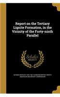 Report on the Tertiary Lignite Formation, in the Vicinity of the Forty-ninth Parallel