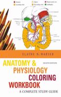 Human Anatomy and Physiology