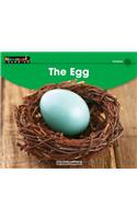 The Egg Leveled Text