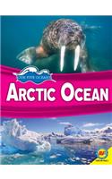 Arctic Ocean: (Our Five Oceans)