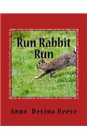 RUN RABBIT RUN by ANNE DEVINA REEVE: World War 11 Anna and her Gang discover strange things happening(English)