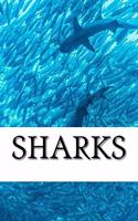 Shark Journal