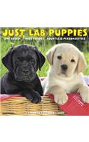 Just Lab Puppies 2020 Wall Calendar (Dog Breed Calendar)