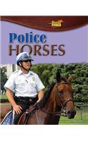 Police Horses