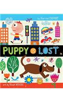 Puppy is Lost