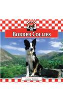Border Collies