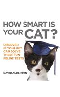 How Smart Is Your Cat?: Discover If Your Pet Can Solve These Fun Feline Tests