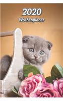2020 Wochenplaner: Scottish Fold Katzenwelpe - 107 Seiten, 15cm x 23cm ca. A5 - Taschenkalender - Terminplaner - Tagebuch - Terminkalender - Organizer für Katzenliebha