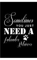 Sometimes You just need a Labrador Retriever