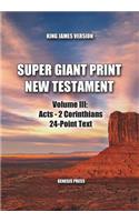 Super Giant Print New Testament, Volume III