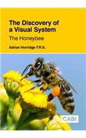 Discovery of a Visual System - The Honeybee