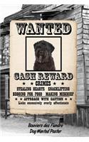 Bouviers Des Flandre Dog Wanted Poster: Beer Tasting Journal Rate and Record Your Favorite Beers Collect Beer Name, Brewer, Origin, Date, Sampled, Rating, STATS ABV Ibu Og Tg Srm, Price, C
