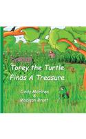 Torey The Turtle Finds A Treasure