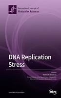 DNA Replication Stress