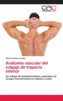 Anatomía vascular del colgajo de trapecio inferior