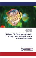 Effect of Temperature on Lake Tana Labeobarbus Intermedius Fish