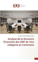 Analyse de la Structure Financière Des Emf de 1ère Catégorie Au Cameroun
