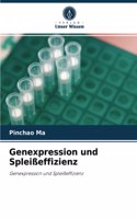 Genexpression und Spleißeffizienz