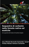 Sequestro di carbonio nelle foreste native ed esotiche
