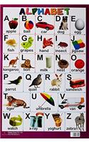 Charts Alphabets
