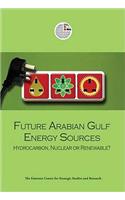 Future Arabian Gulf Energy Sources