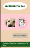 Antibiotic For Dog