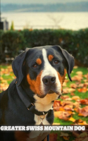 Greater Swiss Mountain Dog