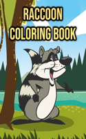 Raccoon Coloring Book