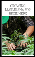 Growing Marijuana for Beginners: How to grow marijuana, indoors and outdoors. The complete guide. From seed to harvest