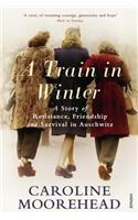 A Train in Winter