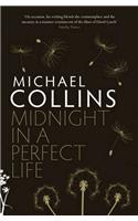 Midnight in a Perfect Life