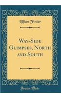 Way-Side Glimpses, North and South (Classic Reprint)