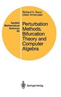 Perturbation Methods, Bifurcation Theory and Computer Algebra