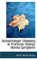 Bemaerkninger I Anledning AF Professor Madvigs Latinske Sproglaere: (English)