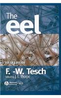 Eel