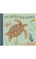 Green Sea Turtle