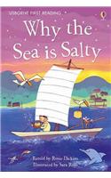 Why the Sea is Salty