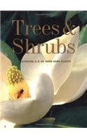 Trees and Shrubs