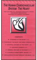Human Cardiovascular System, The - The Heart Videotape