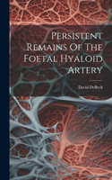 Persistent Remains Of The Foetal Hyaloid Artery