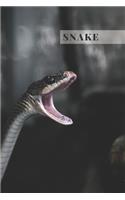 Snake: Notebook With Curio, Education Notebook, Animal Notebook, School Notebook, Office Notebook, Journal, Diary (110 Pages, Blank, Lines, 6 x 9)